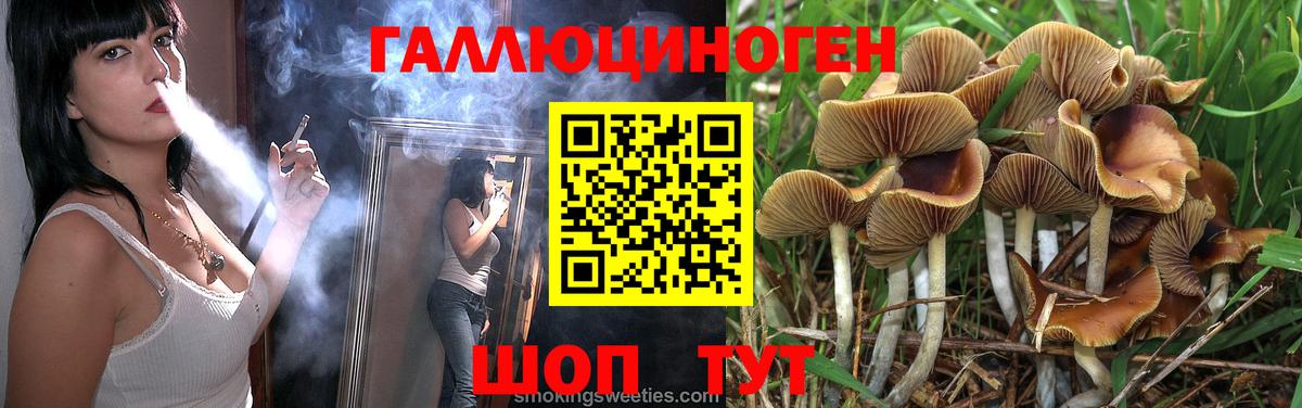 Кузнецк  Псилоцибиновые грибы MAGIC MUSHROOMS  Псилоцибиновые грибы Cubensis  Вход с VPN 